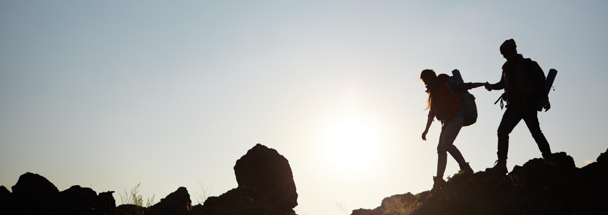 De bedste vandresokker