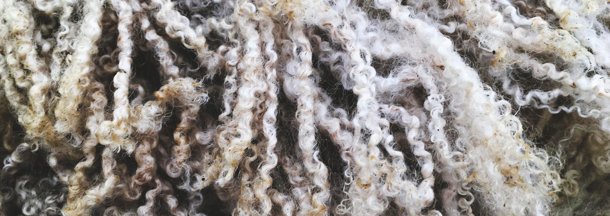 Hvor kommer merinould fra?