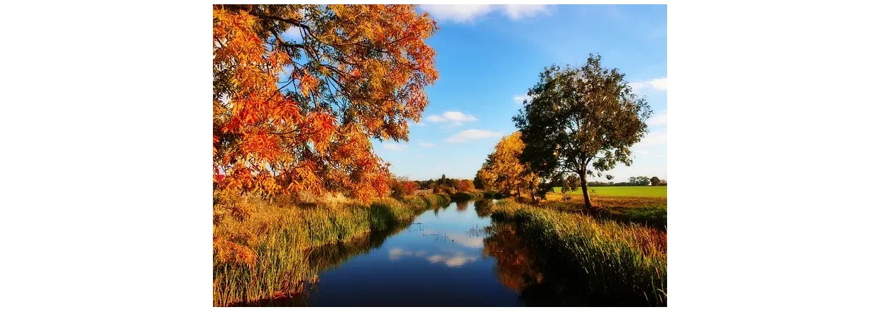 Finden Sie die richtigen Wollsocken für den Herbst und frieren Sie nicht an den Füßen